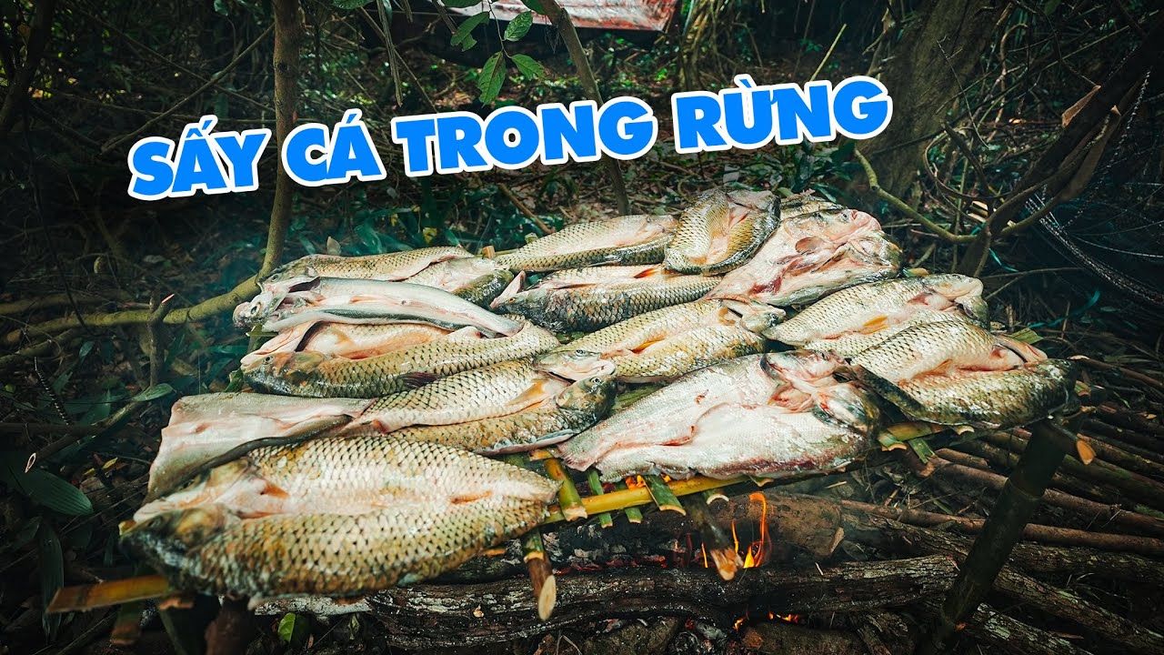 V&Ocirc; T&Igrave;NH PH&Aacute;T HIỆN 1 Đ&Agrave;N C&Aacute; TRẮM ĐANG ĐI ĂN, NHANH CH&Oacute;NG V&Acirc;Y LƯỚI BẮT ĐƯỢC HƠN CHỤC CON.