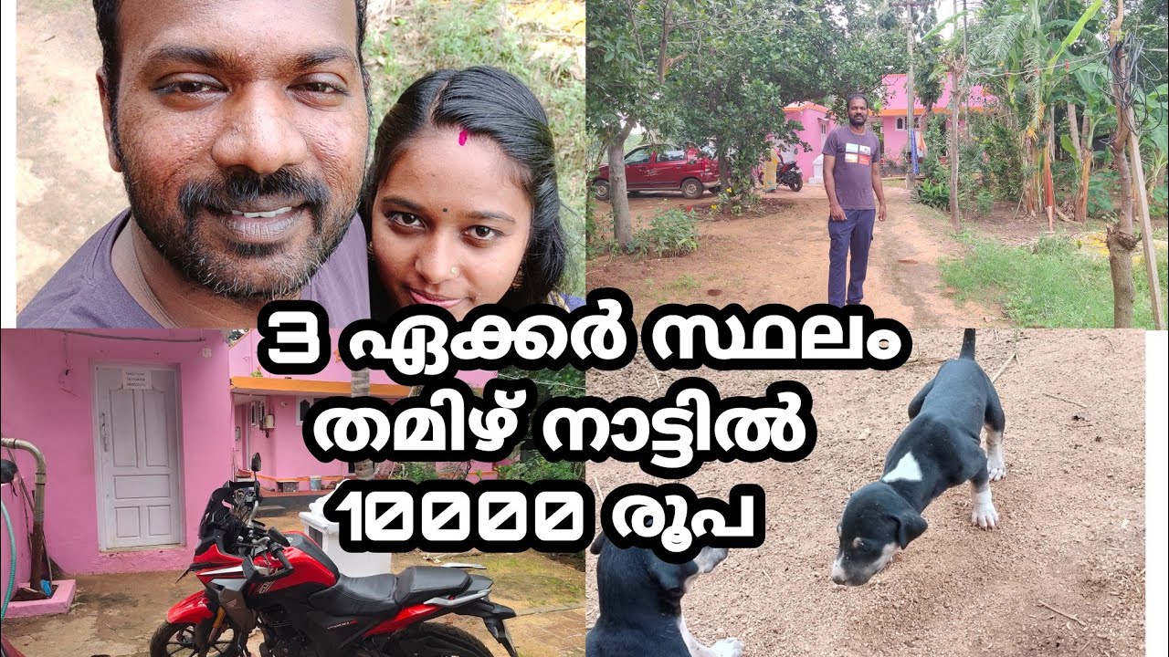 തെങ്കാശിയിലെ ഫാംഹൗസിൽ ഞങ്ങളുടെ ദിവസം  | Stay in farm house in Tenkasi