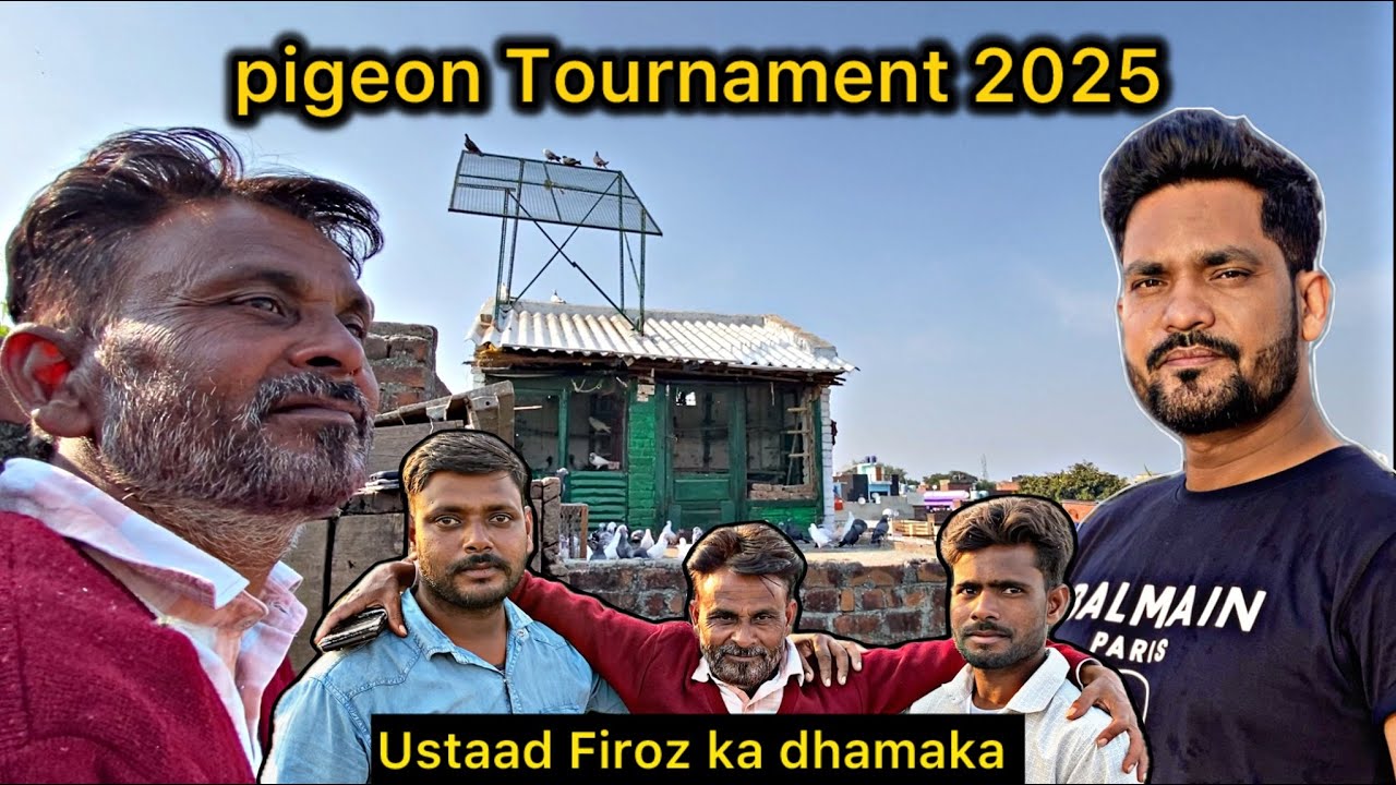 Pigeon Tournament 2025 | Haseen Bhai ke 10 High Flyer Kabutar | Ustaad Firoz Ki Ustaadi Ka Kamal