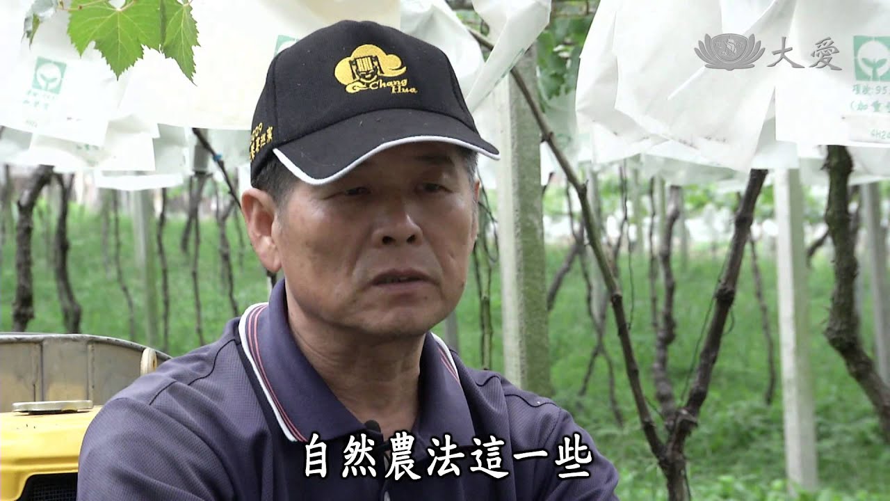 【農夫與他的田】20141229 - 水里的自然農