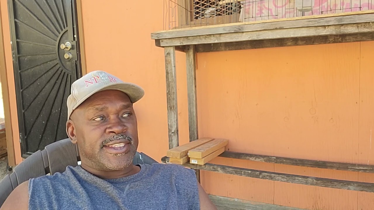 Understanding, feeding, and knowing your Roller Pigeons. By: Keith London 