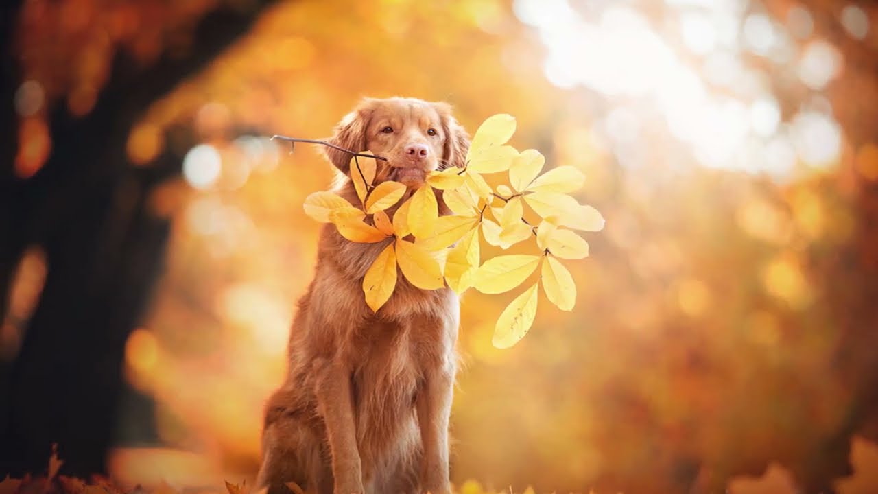 #144 Одинокие воины.