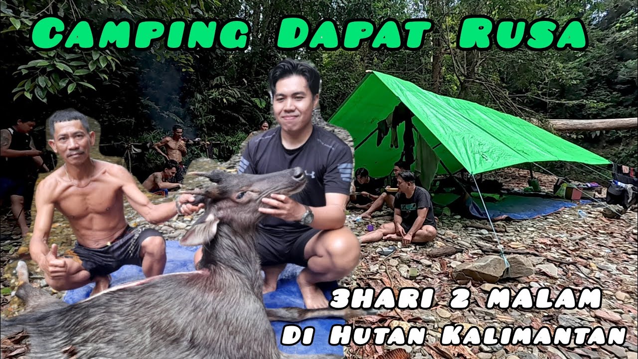 CAMPING 3 HARI 2 MALAM DI HUTAN KALIMANTAN BERBURU DAN MENDAPAT RUSA 