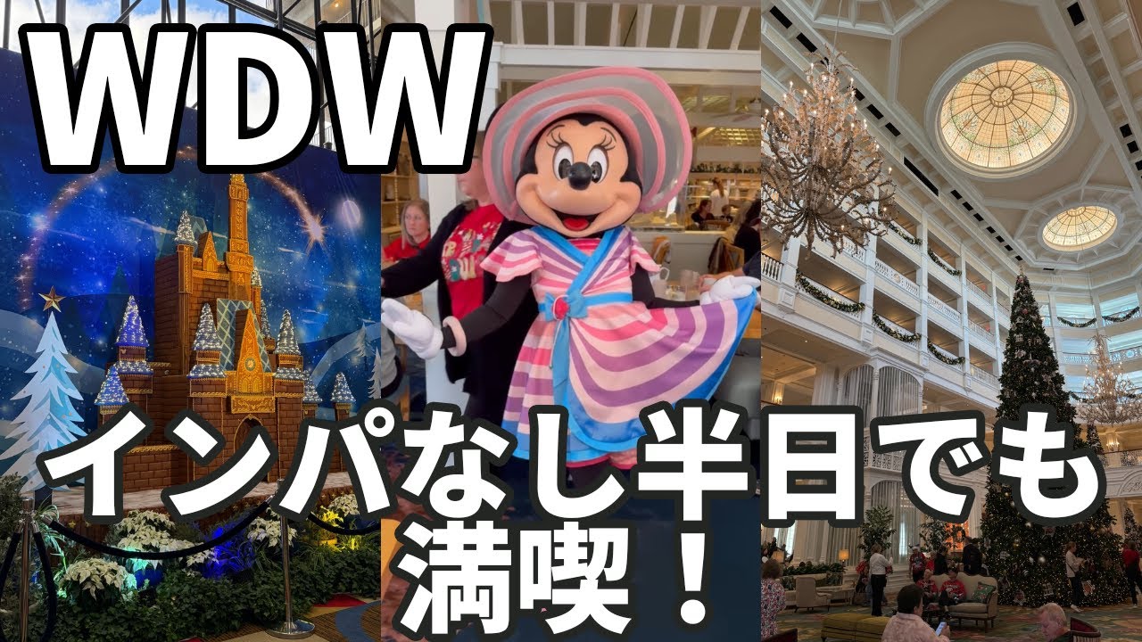 【WDW】フロリダウォルトディズニーワールドにぼっちで来たのにインパしなかったVlog