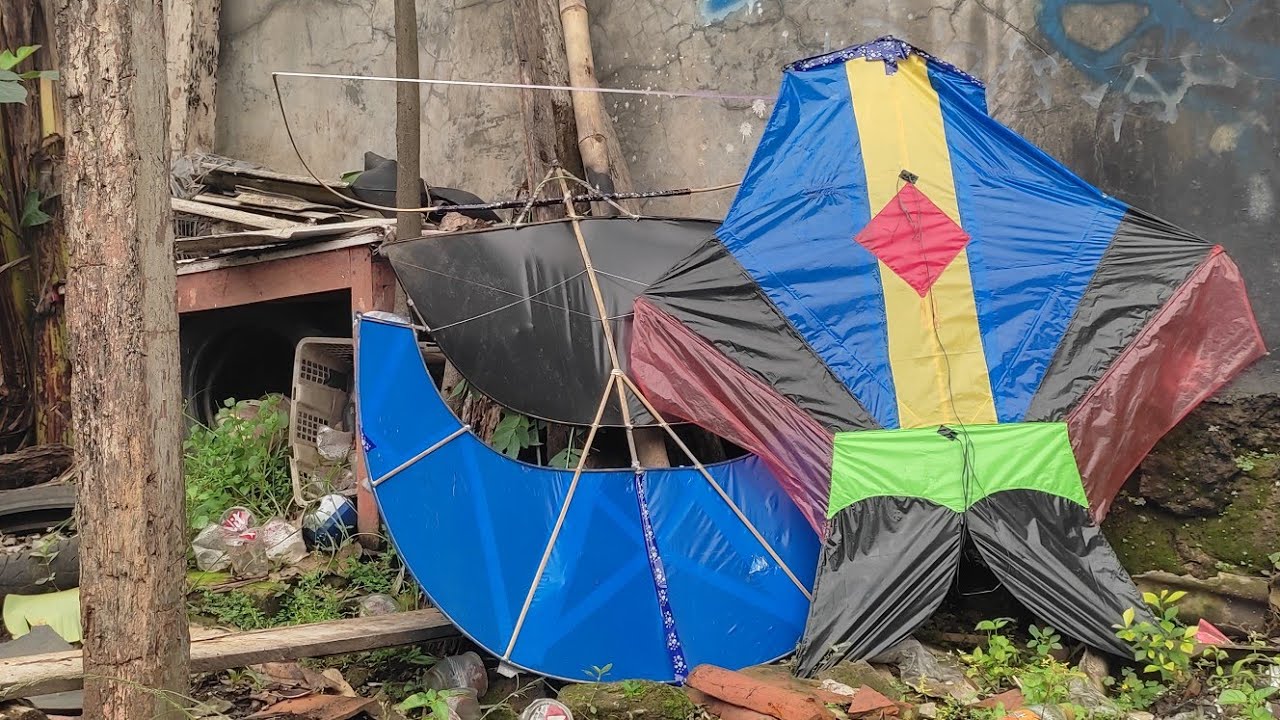 Widdiih Layangan Pegon Ludoyo vs Cotek Blolong Siap Tarung Nihh