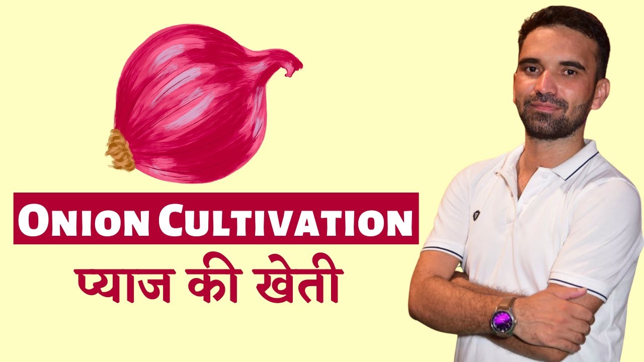 Onion Cultivation/प्याज की खेती- AFO, JRF, Pre-PG, NABARD, FCI, JRF