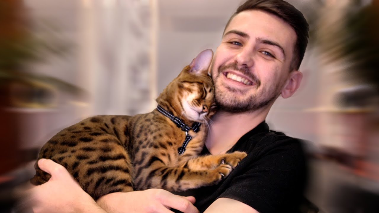 JE VOUS PRÉSENTE MON CHAT (il est un peu spécial)