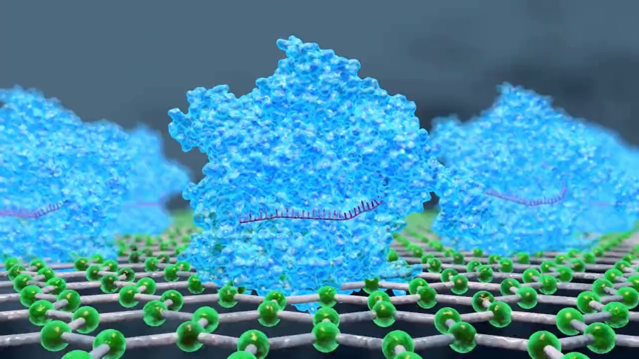 CRISPR-чип: обнаружение неамплифицированных целевых генов с помощью CRISPR/Cas9..