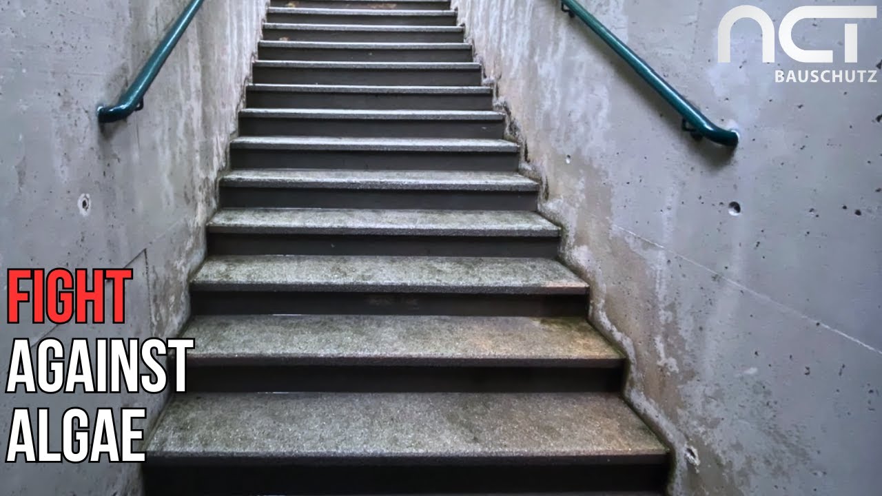 How to Clean Concrete and Protect It from Algae with a Mineral Coating
