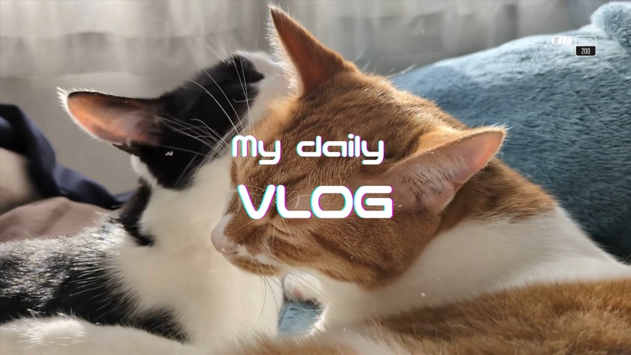 【Vlog】髪の毛を食べられる休日ルーティン/保護猫兄妹と暮らす医療系夫婦