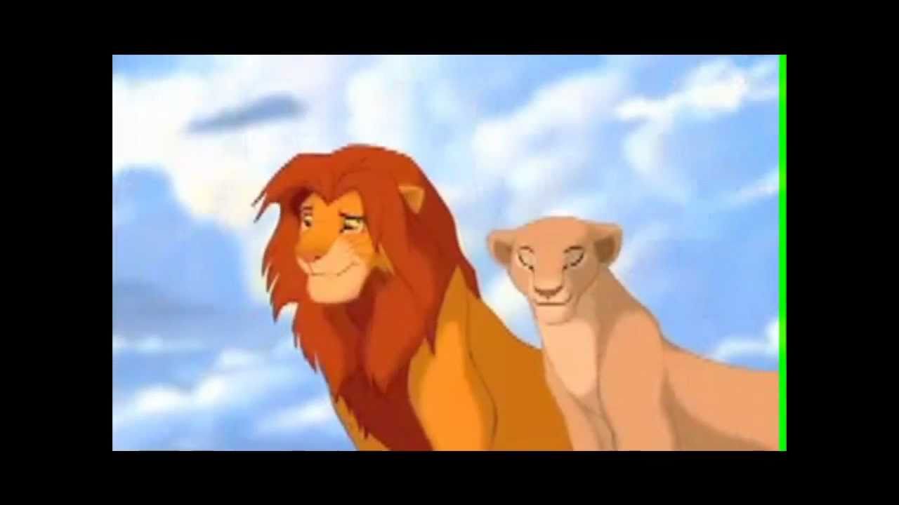 Simba und Nala 1
