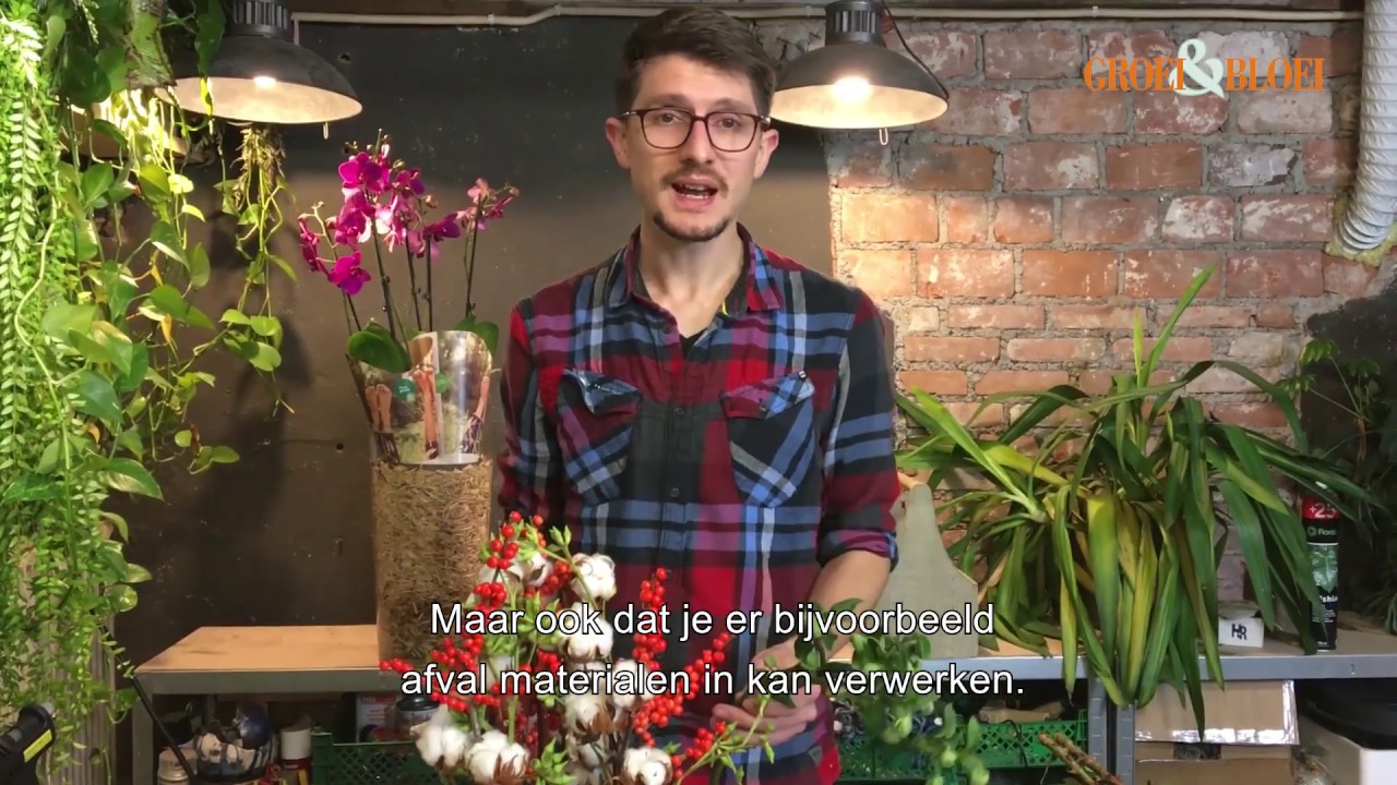 Boomstam met eucalyptusbessen door Dennis Lanzaat