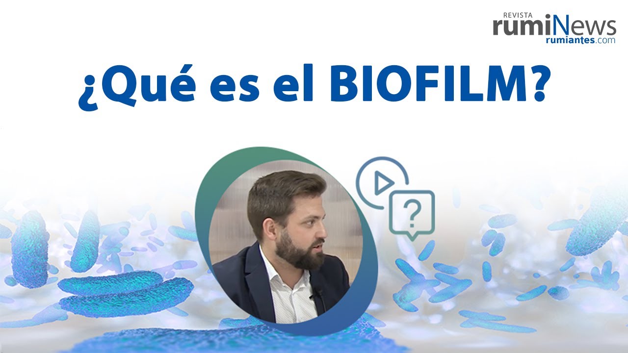 QUÉ es el BIOFILM y CÓMO se FORMA