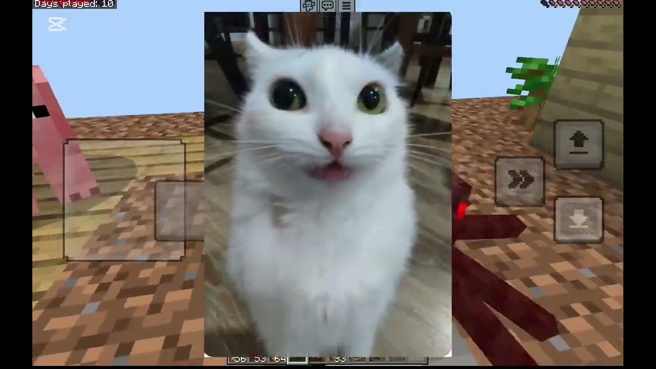Playing one block on minecraft with my friend :D 🐇#Chaotic#memes#minecraft#fun