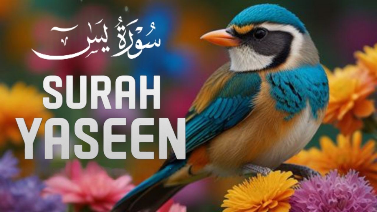 Surah Yaseen (سورة يس) | Calming Quran Recitation for Inner Peace & Sleep | Alaa Aqel #surahyaseen