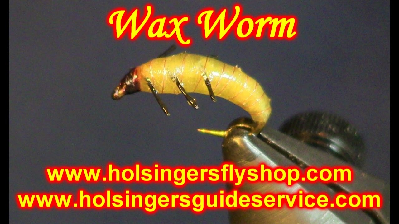 Восковая моль, магазин рыболовных принадлежностей Holsinger's Fly Shop