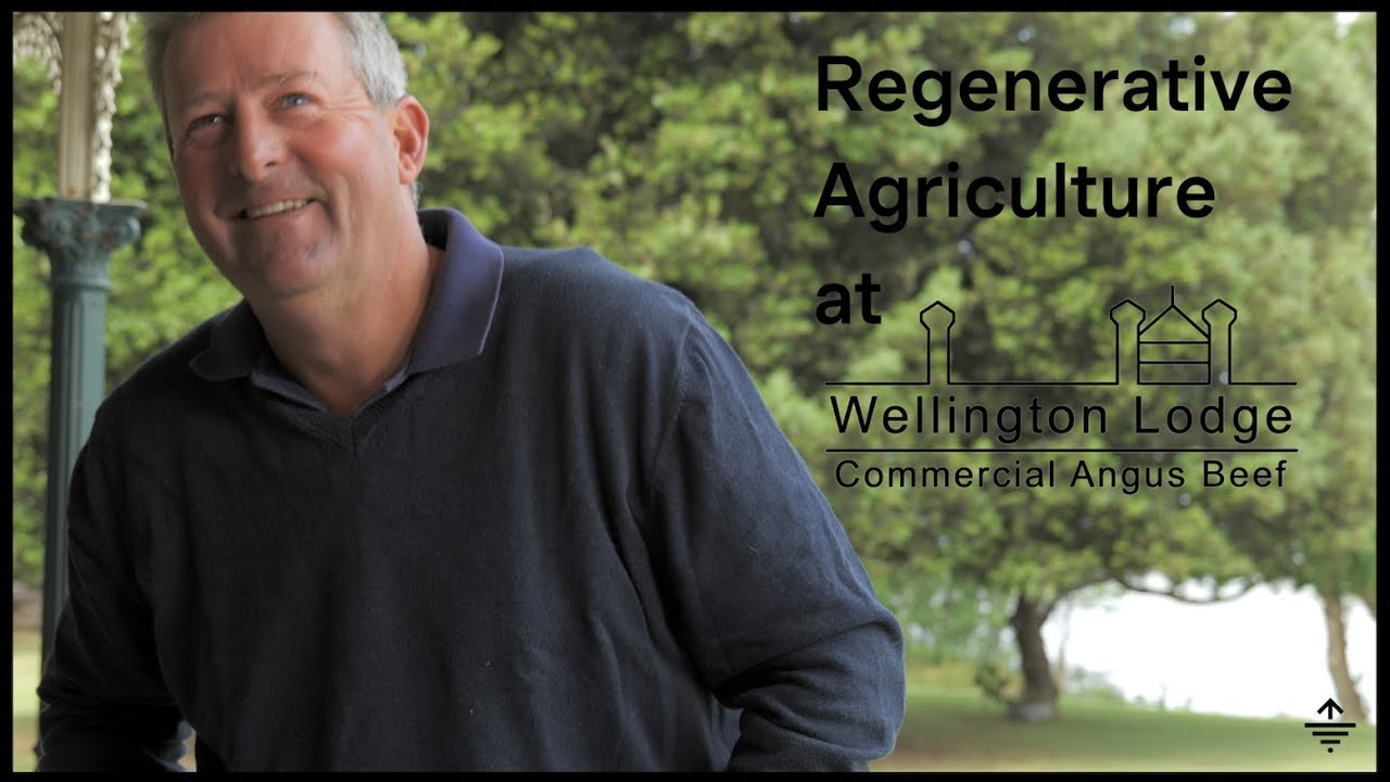 Regenerating soil and farm profitability through the 'Grazing Naturally Method'