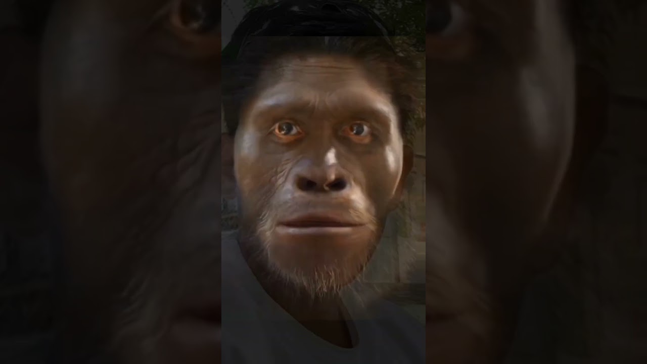 Monkey face