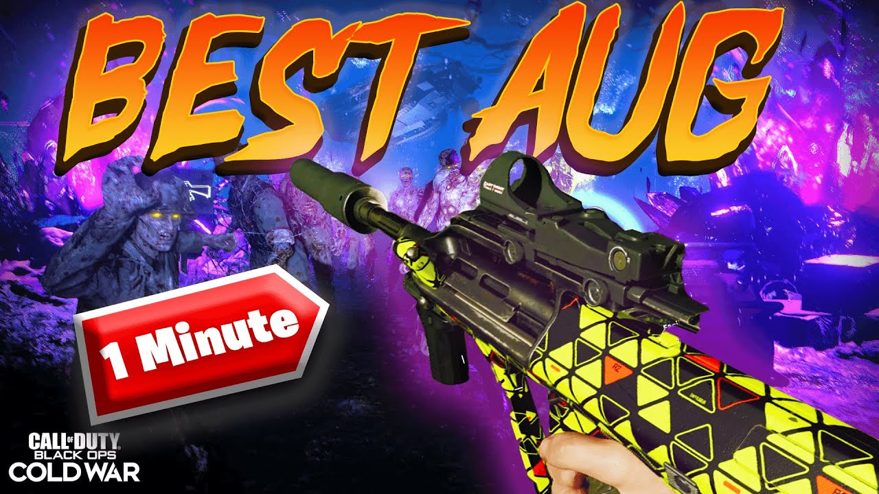 BEST AUG Zombies Class Black Ops Cold War
