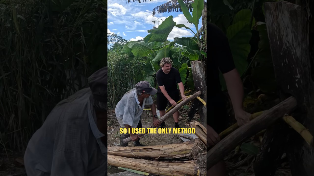 Peace offering for Peruvian Farmers!