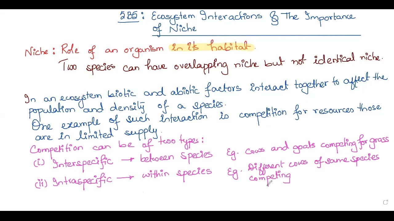 Lecture # 10: 5B5: Ecosystem Interactions & The Importance of The Niche + 5B6: 24th February 2025
