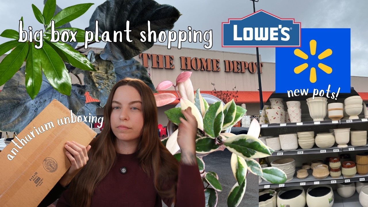 Покупка растений в большом супермаркете и распаковка антуриума :) | Home Depot, Lowe’s, Walmart!