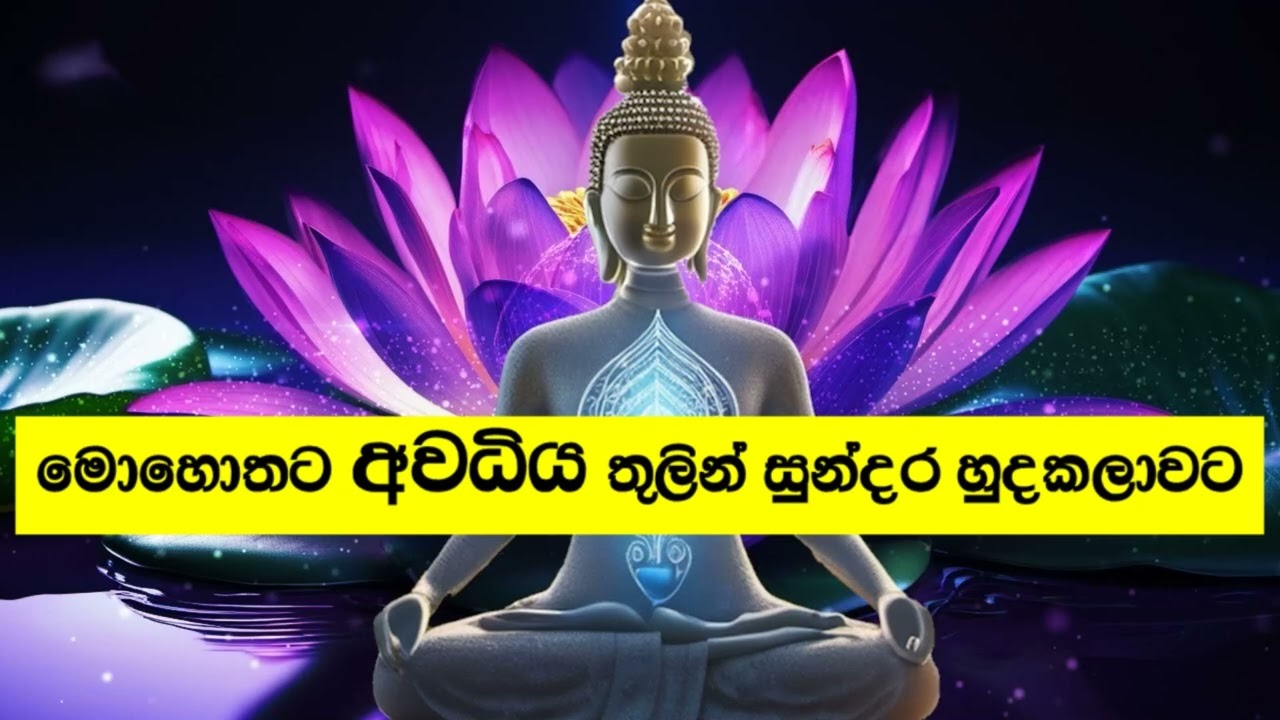 මොහොතට අවධිය තුලින් සුන්දර හුදකලාවට