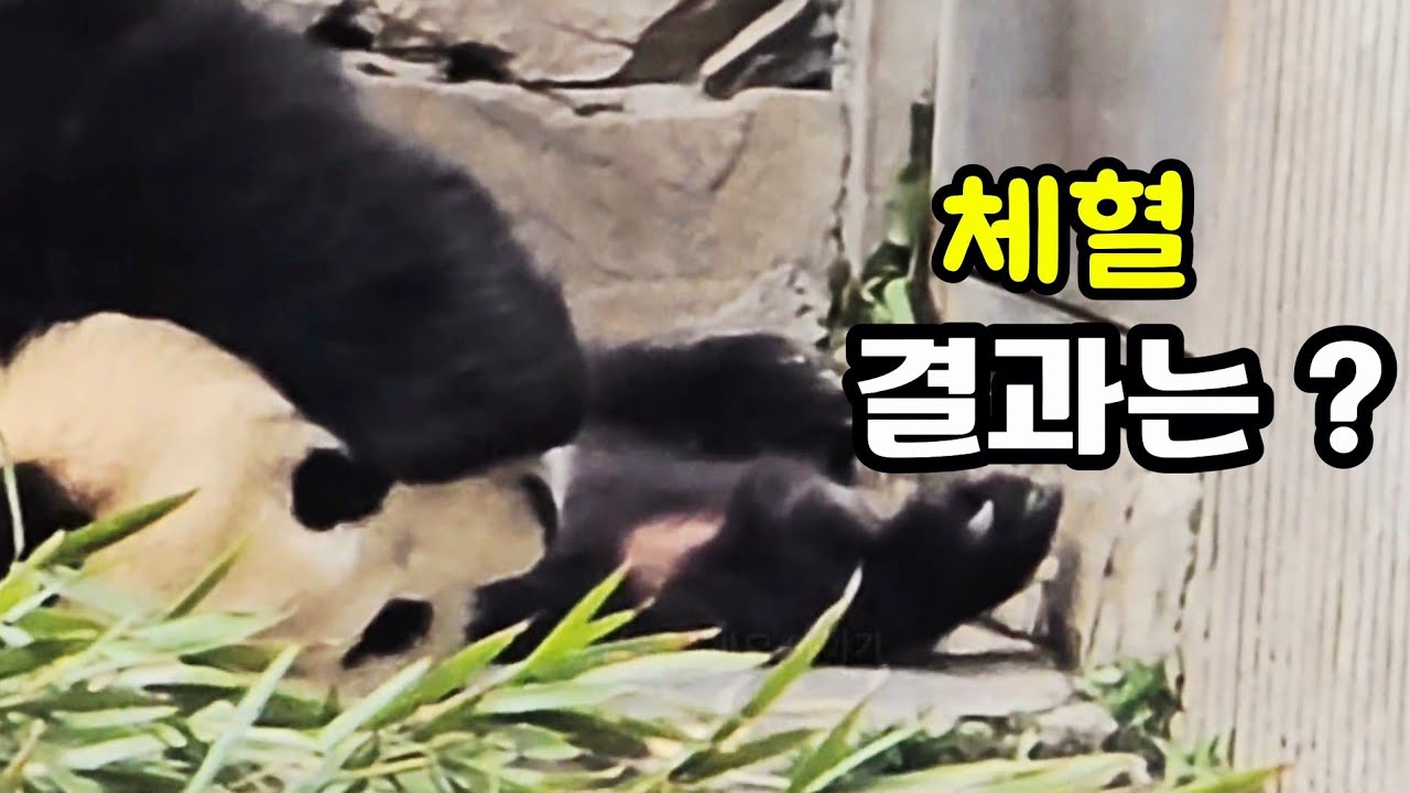 26.3.14 마감전 검사는 이것저것하는데..
