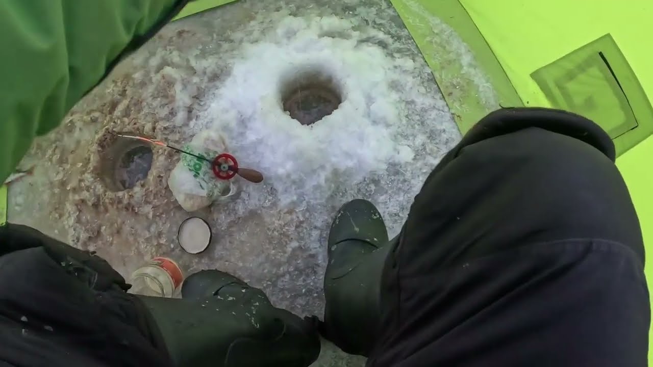 ЧУДСКОЕ ОЗЕРО!!НИНА.ЗИМНЯЯ РЫБАЛКА НА МОРМЫШКУ,КРУПНАЯ ПЛОТВА