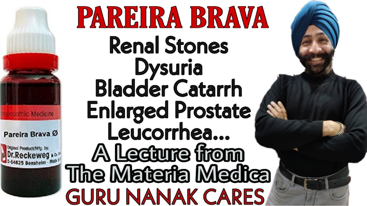 PAREIRA BRAVA | A lecture from The Materia Medica
