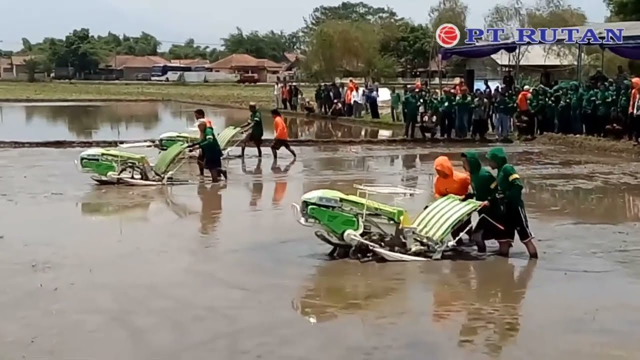 Mesin tanam padi crown indo jarwo transplanter