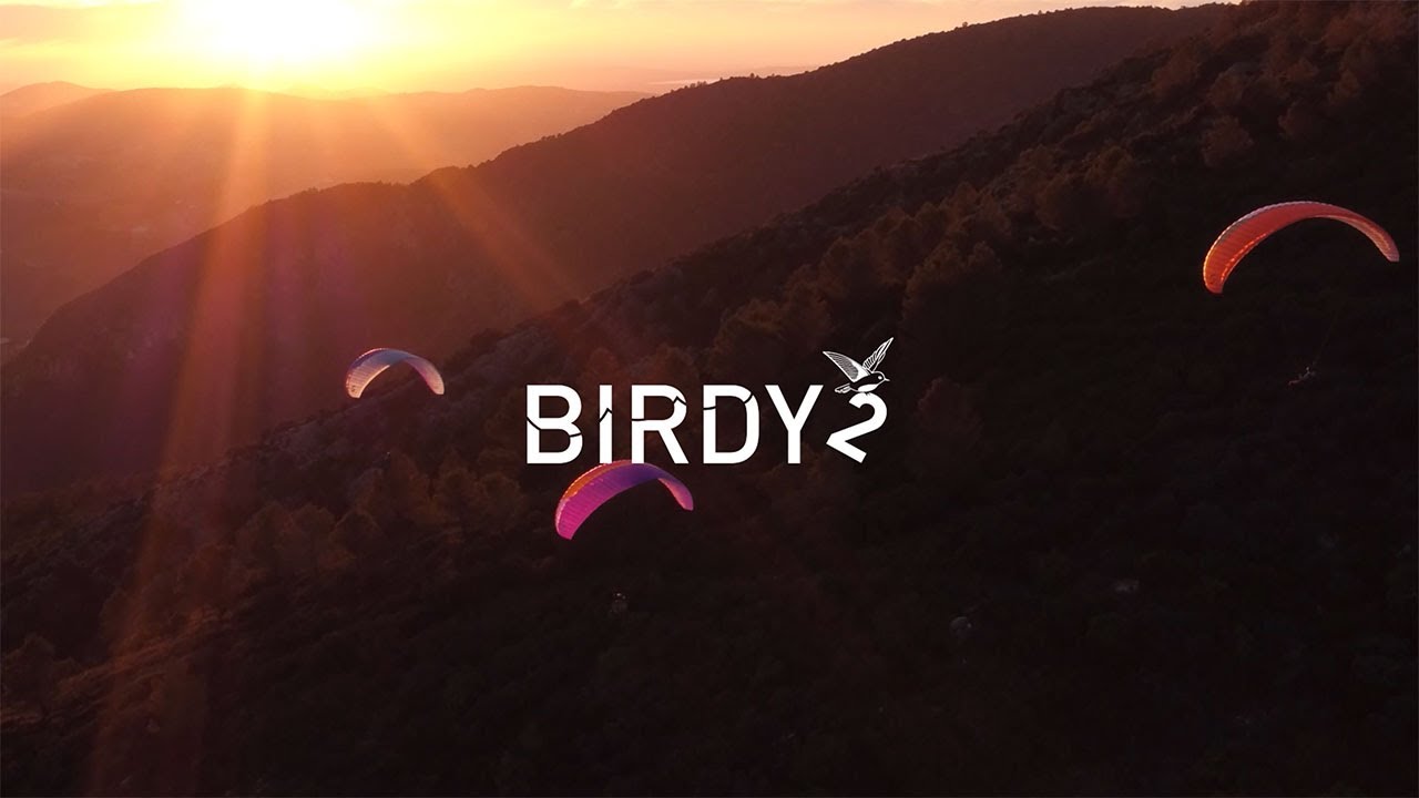 Birdy 2