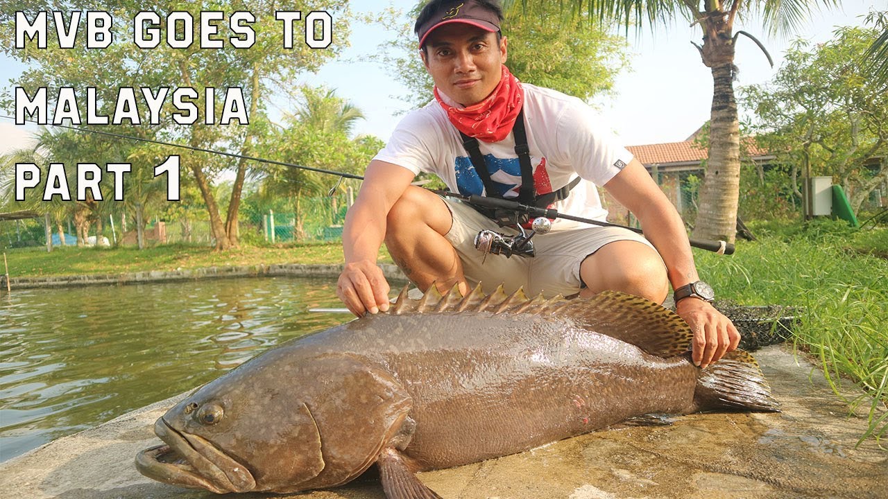 MANCING KERAPU MONSTER! | Mancing Vlog Bali Ep #44
