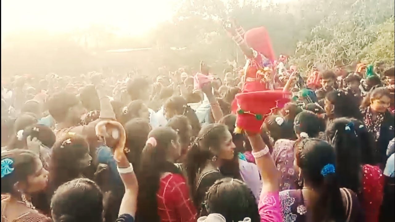 आदिवासी शादी का नया वीडियो मांडवी शादी का आदिवासी नया वीडियो 2026 का शादी का नया वीडियो