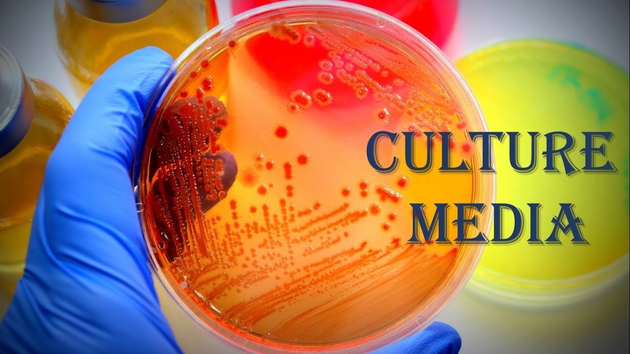 Culture Media (1) S01-25 Microbiology MCQs