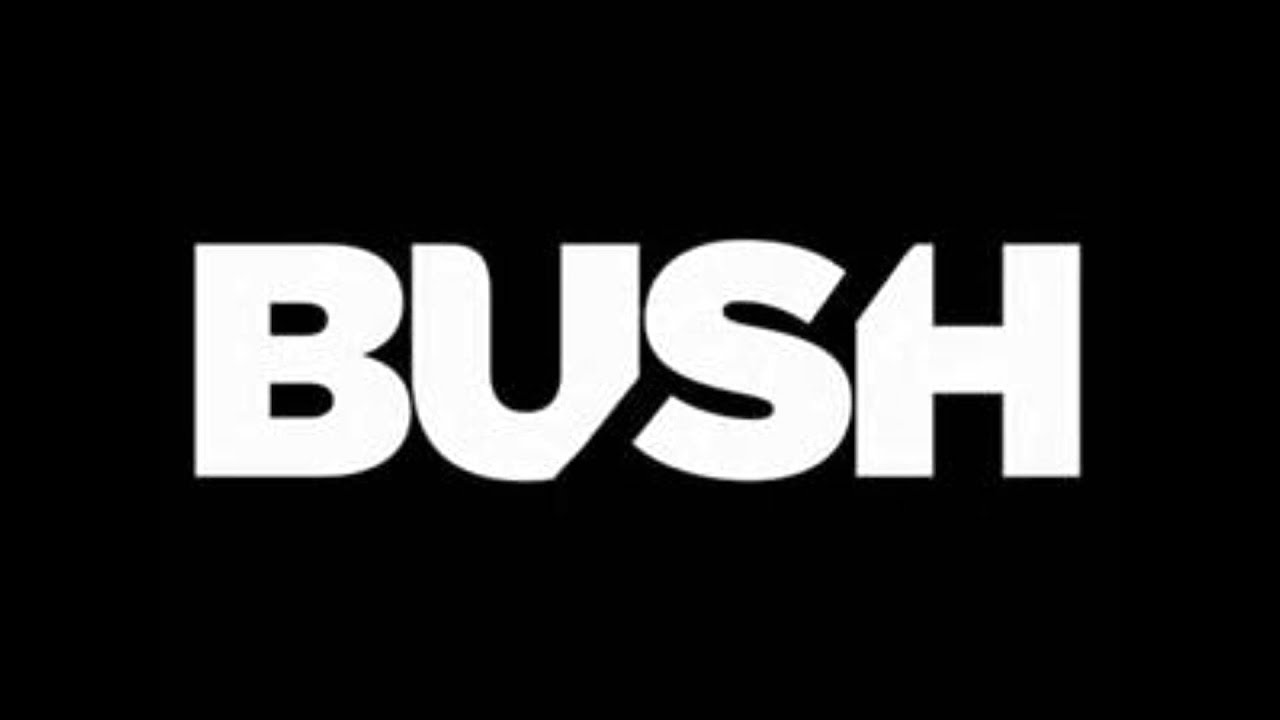 Bush - Swallowed W/Lyrics (HD)