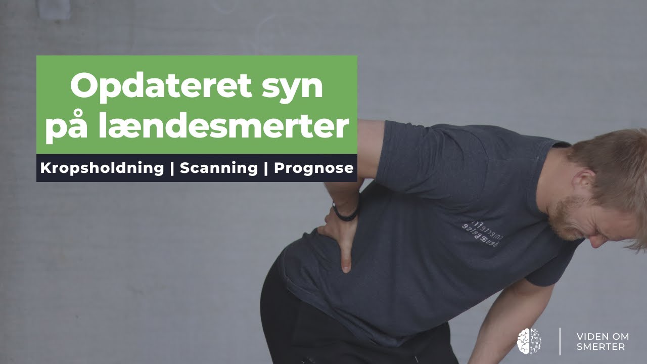 Opdateret syn på lændesmerter (Kropsholdning | Scanning | Prognose)