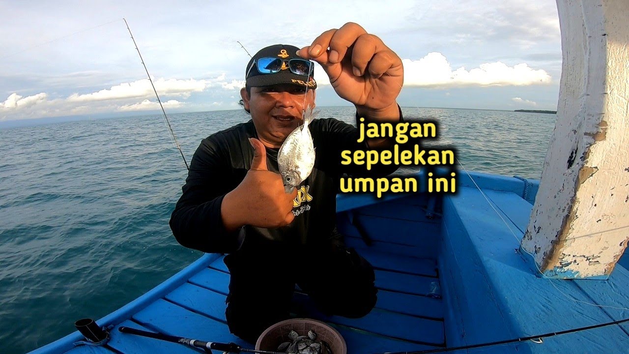 UMPAN SEDERHANA HASIL ISTIMEWAH!! MANCING TUNA