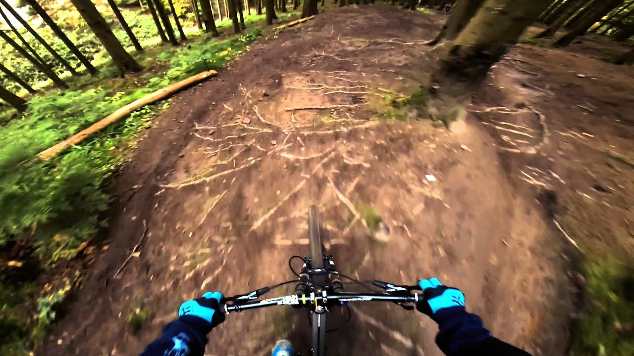 Forest of Dean Corkscrew
