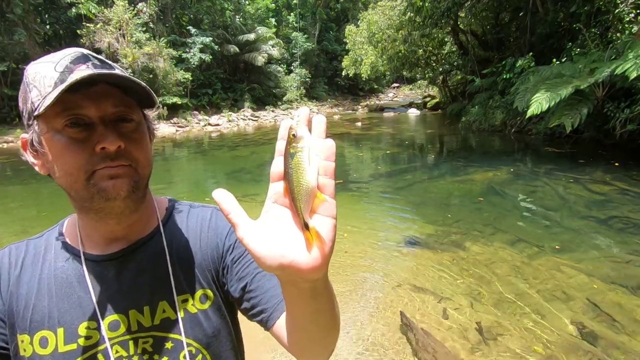 Pescaria de Lambari no lugar mais lindo do litoral do Paraná