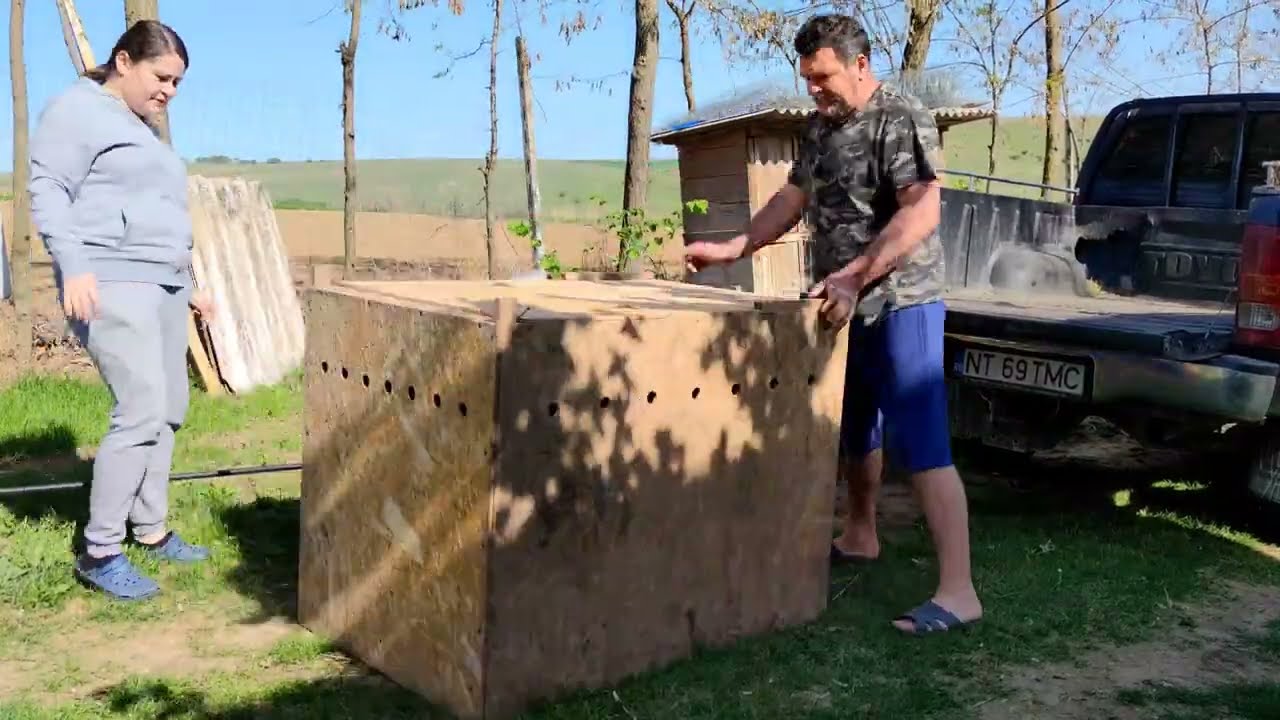 CURĂȚENIE LA IAZ🐬PREGĂTIM O SURPRIZĂ🐥🐥🐥🐥🐥