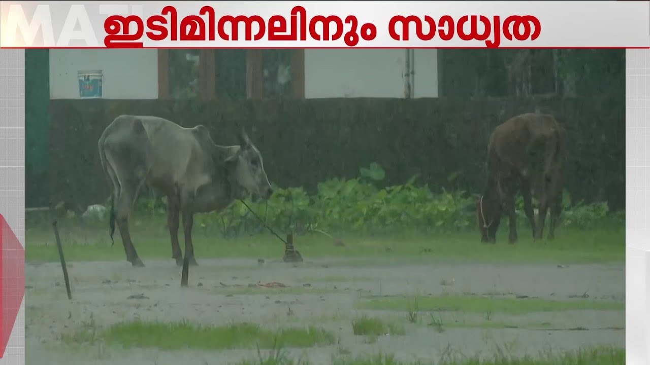 തിരുവനന്തപുരത്ത് മഴ കനക്കുന്നു; തീരപ്രദേശത്തും മലയോര മേഖലയിലും ജാഗ്രതാ നിര്‍ദേശം | Trivandrum