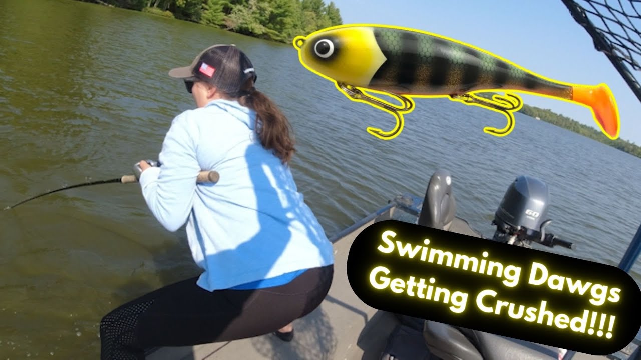 Epic MUSKY Action using SWIMMING DAWGS