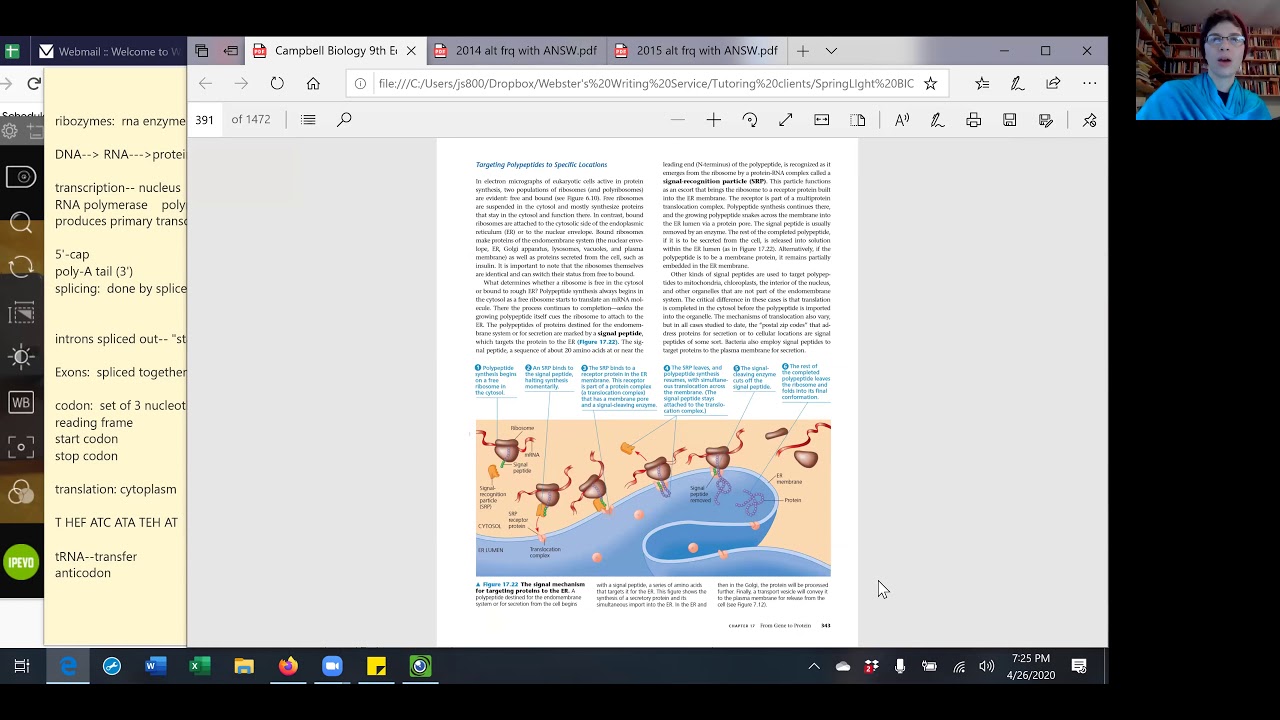 Sample SAT biology Zoom April 04262020