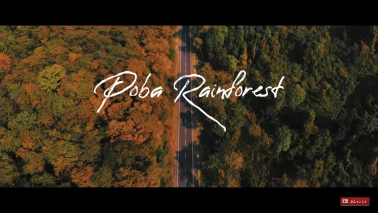 Save Poba Save Jonai ft. Deeplina Deka, Drone shots of Poba Reserve Forest/The Great Marathon Race