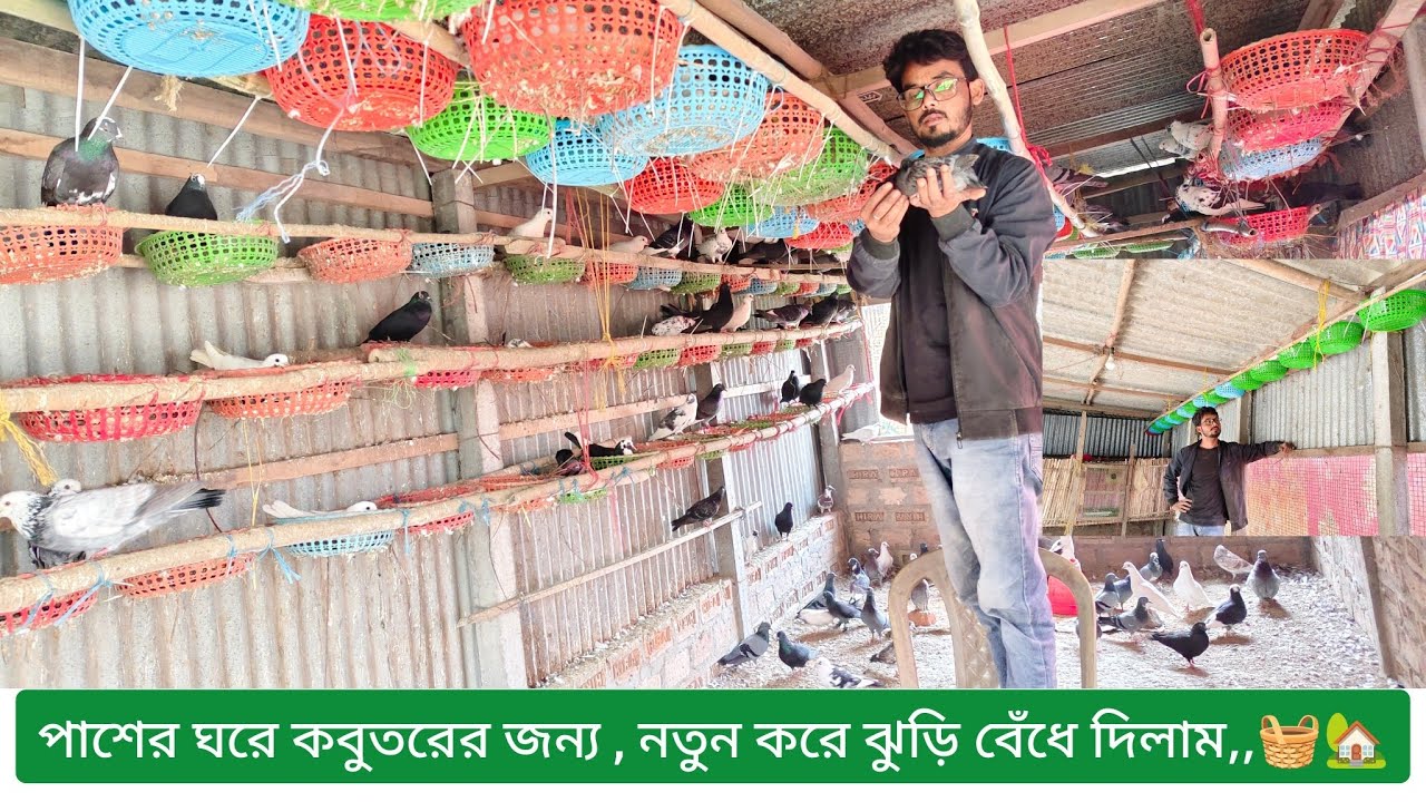 পাশের ঘরে কবুতরের জন্য,, নতুন করে ঝুড়ি বেঁধে গেলাম,,