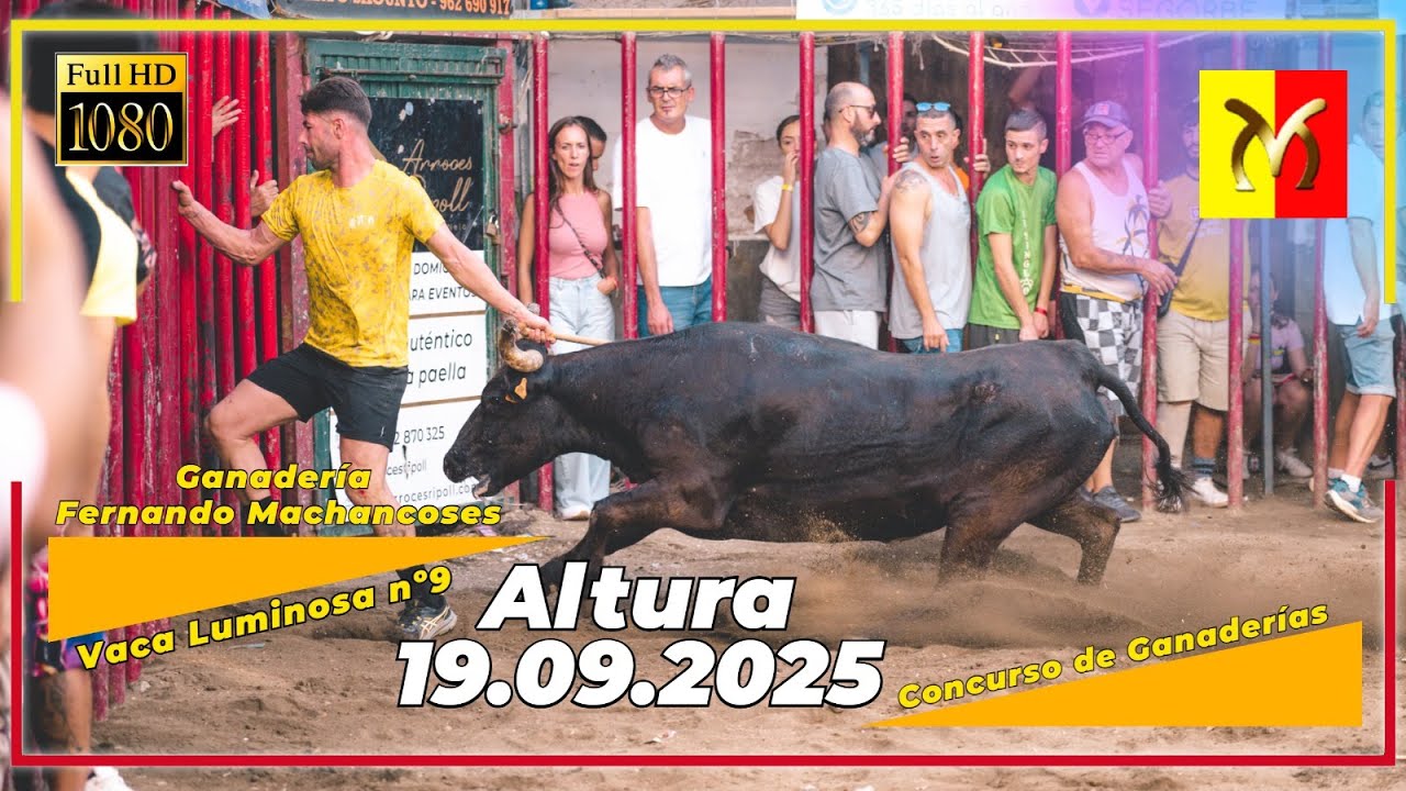 Altura 19 /09 /2025 Concurso de Ganaderías ▫️ Fernando Machancoses 🔝💯