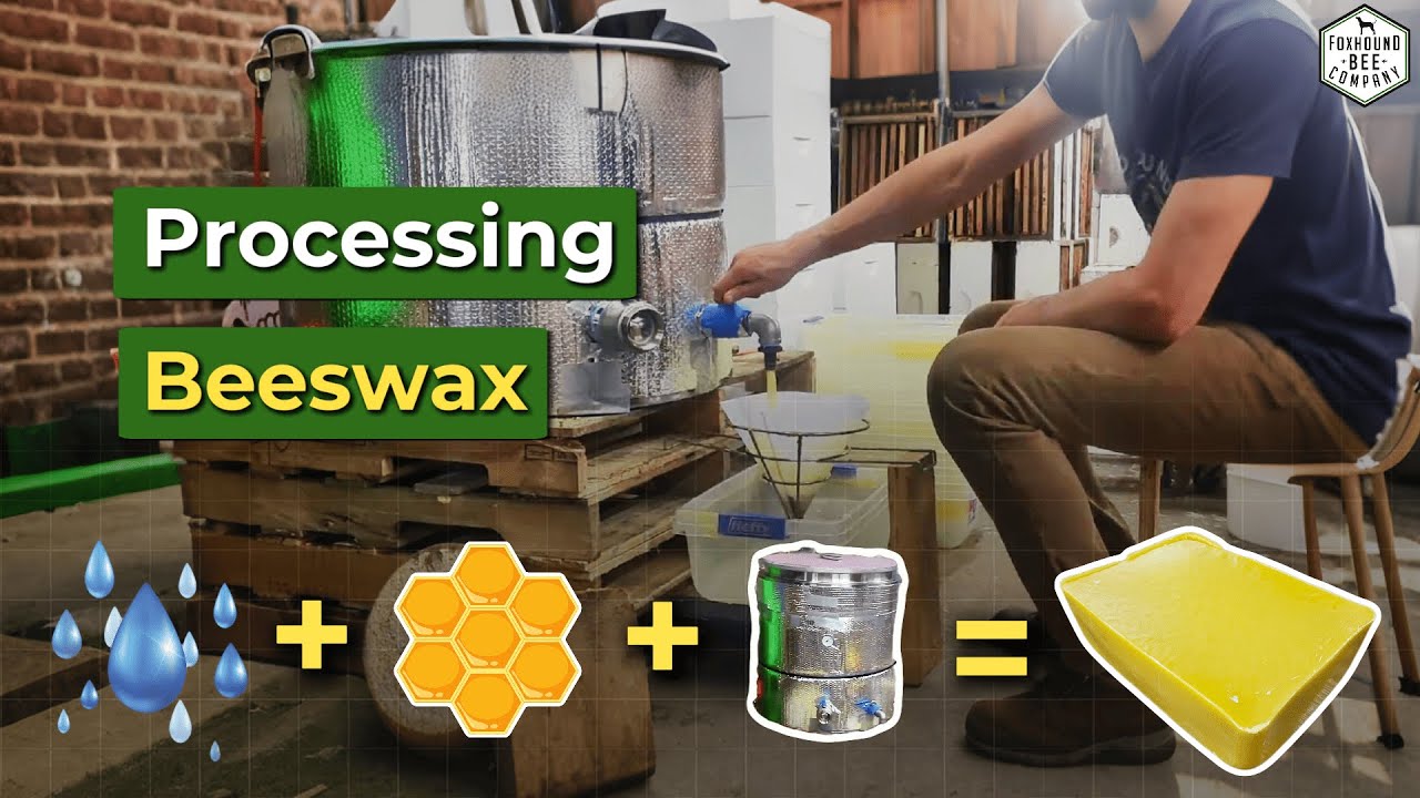 Beeswax Processing Made Easy: Step-by-Step Guide for Beekeepers
