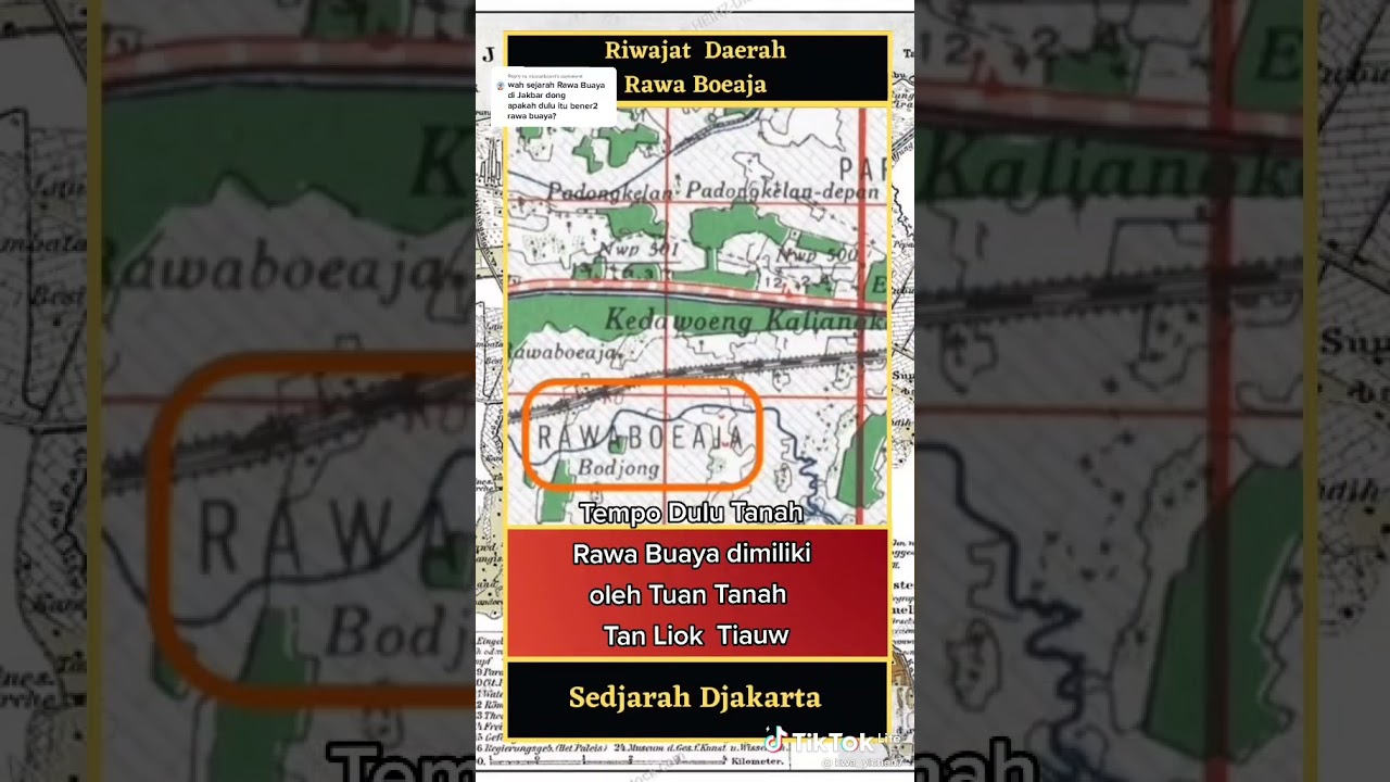 sejarah rawa buaya