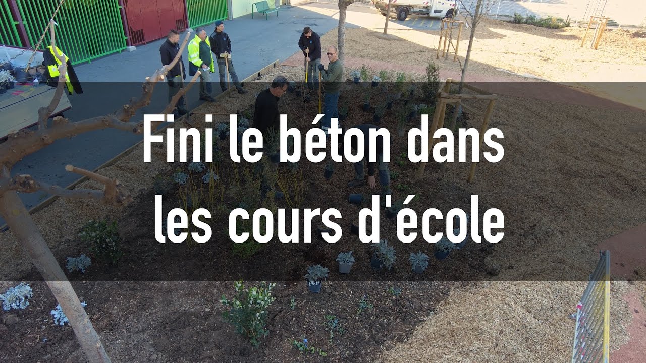 Quand le bitume s’efface devant les végétaux, la cour d'école change de dimension